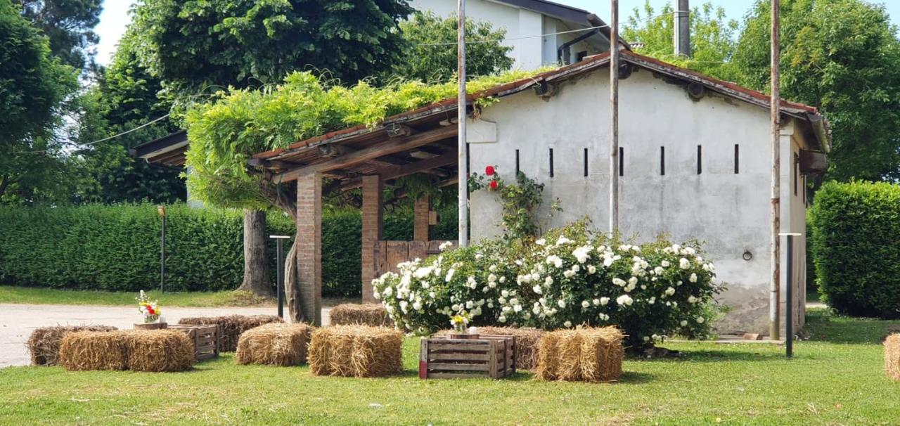 La Tenuta Va Oltre Bovolenta Exteriör bild